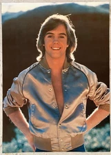 Shaun Cassidy 1977 Poster Jacket Hardy Boys Pro Arts Medina Ohio