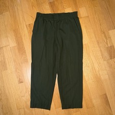 Everlane The Italian GoWeave Easy Pant Olive Green 8 Wool Fall Autumnal Clean