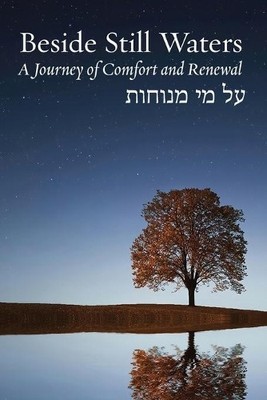 Beside Still Waters (Taschenbuch) Bayit: Building Jewish
