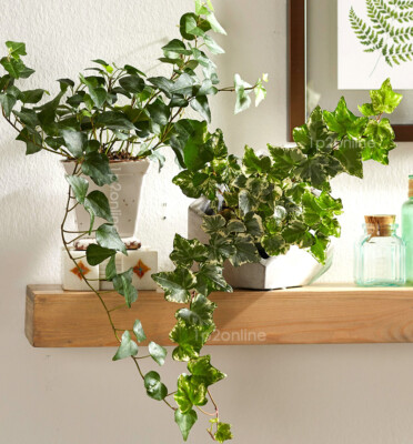gold planter Ultra Modern Sleek Gold Planters main image 0