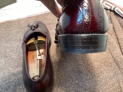 Allen Edmonds Bridgeton Men display picture 1
