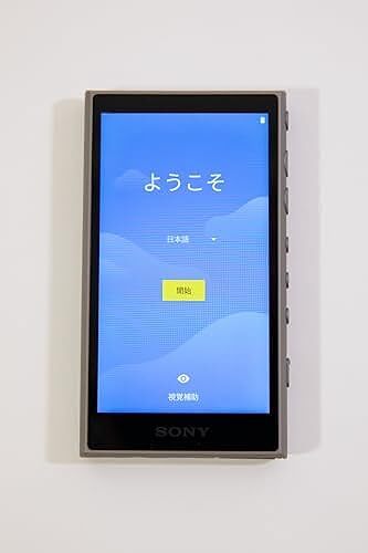 Sony Walkman 16 GB A Series NW-A 105 G International Model