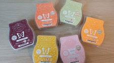 Scentsy 6 Wax Bar Bundle