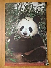 24" x 36" Giant Panda 1986 poster