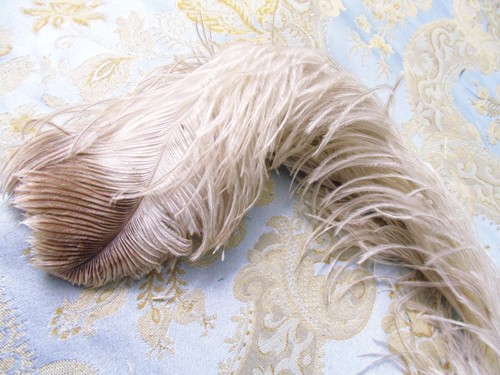 Vtg French Millinery Hat Ornament 24” Long 2 tone White Ostrich Feather Plume