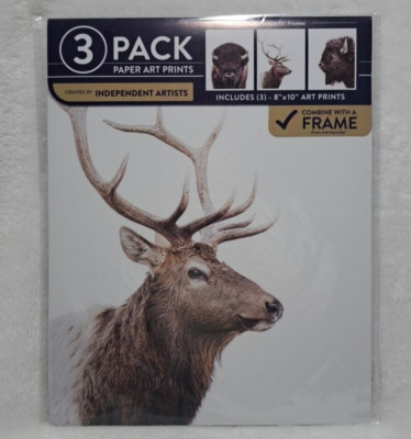 Paper Art Prints 3 Pack 8'' X 10'' Amy Peterson Artist