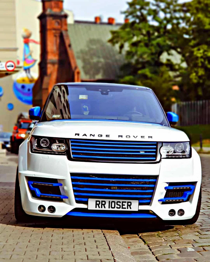 Boss on sale number plate