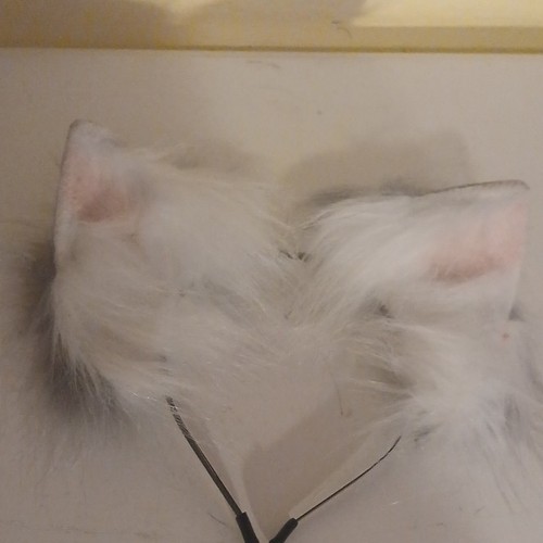 therian dog/cat ears