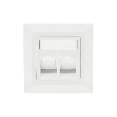 Tragring Trägerrahmen für 2 Keystone Module RJ45 als Netzwerkdose weiß RAL9010