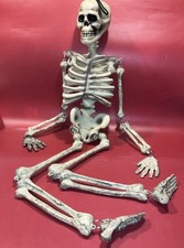 Spooky Halloween 36in. Tall Skeleton Movable Posable Joints Skeleton