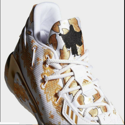 ric flair adidas shoes