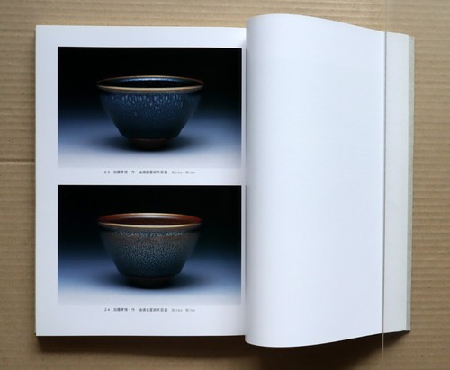 The World of 8 Great Masters of Ceramics, Exhibition Catalogue / 1998, 108 works - Picture 5 of 12
