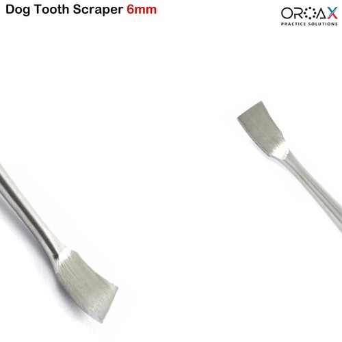 Raschietto per denti veterinario per cani - 6 mm raschietto per pulizia denti animali domestici pulitore odontoiatria - Foto 2 di 3