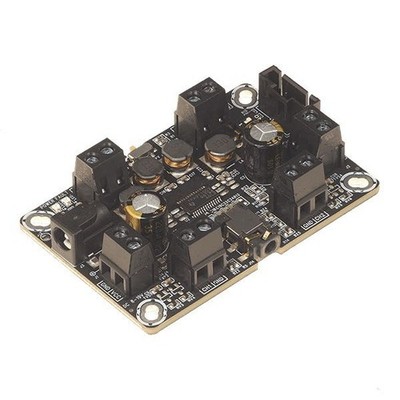 WONDOM AA-AB32231 TPA3110 Class-D Stereo Amp Board 2x8W / 16W Mono DIY Audio