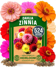 Zinnia Dahlia Seeds Pack for 2026 Non GMO 524 Flower Seeds | Vibrant Zinnia Eleg