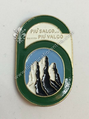 030203001 - 6th Alpine badge - plus climb plus valval ... Marked barn