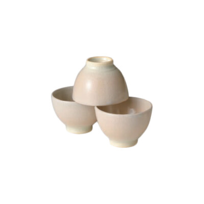 Shigaraki-yaki - RYOFU - 3 Chawan teacups