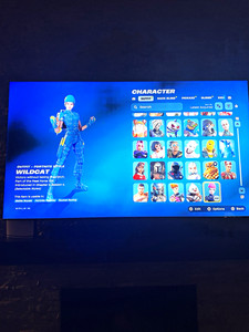 Fortnite Wildcat Nintendo Exclusive