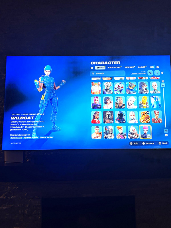 Fortnite Wildcat Nintendo Exclusive