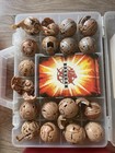 Afbeelding 7 van 11