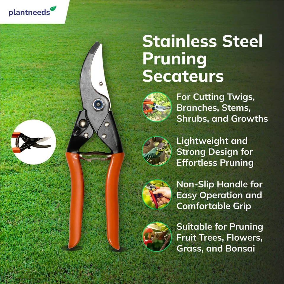 Stainless Steel Flower Cutter Pruning Secateurs | Grafting Tool ...