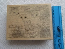 Stampa Rosa  House Mouse Designs  Owl Eyes on the Ball, Wood Rubber Stamp