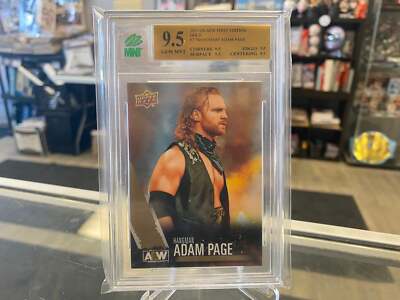 アダムページ 2021 Upper Deck AEW Spectrum #10 Hangman Adam Page Dark Parallel