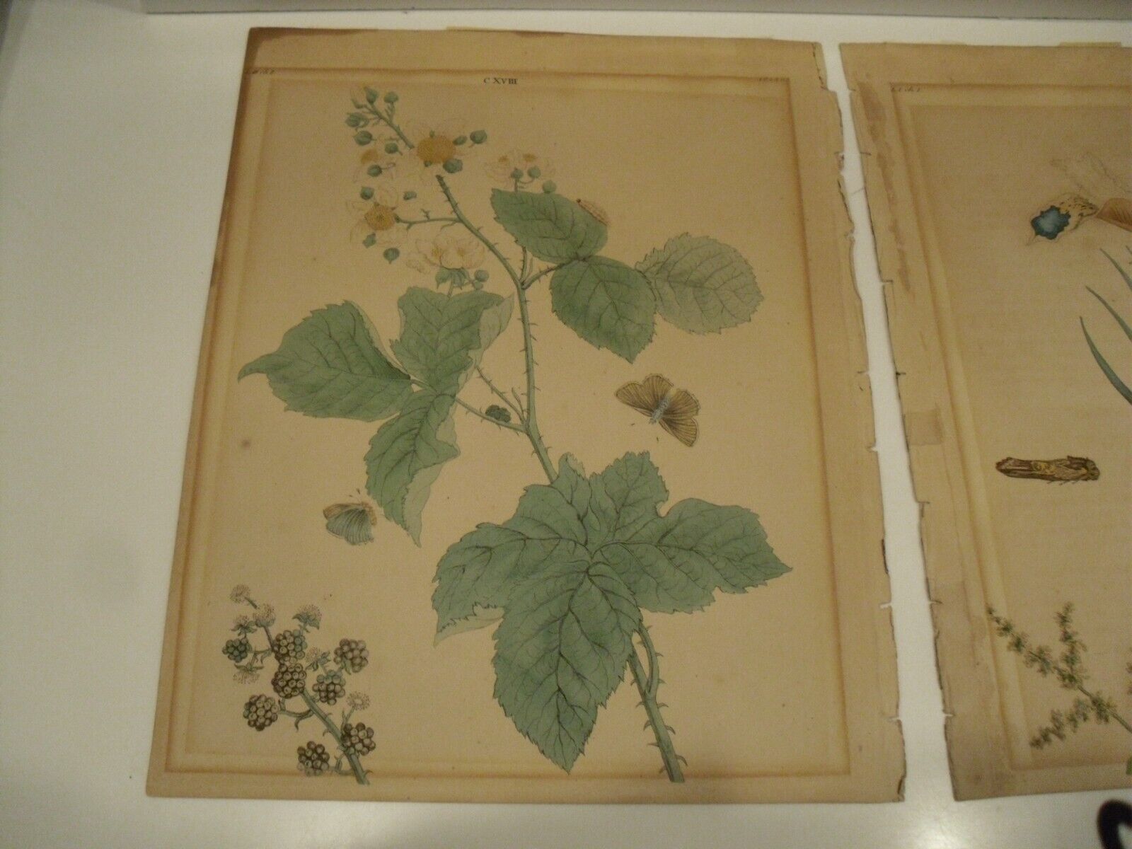 Picture 3 of 15