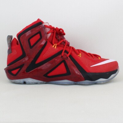 Nike LeBron 12 Elite Team - Size 13M | eBay