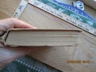 Foto 8 di 8