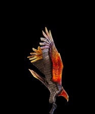 Daum Prestige Eagle 05595 Madeleine van der Knoop Limited 8- Retail 542,000 USD