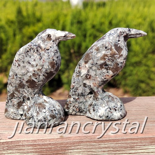 2.3" Natural Yooperlite Bird Crystal Crow Skull Carving Quartz Raven Skull 1pc - Picture 6 of 24