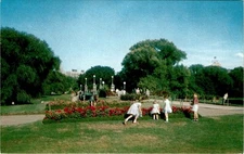 PUBLIC GARDENS, BOSTON, MASS, TICHNOR BROS., INC. Postcard