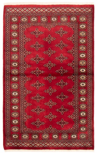 Traditional Hand-Knotted Bordered Area Rug 3'1" x 4'11" Wool Carpet