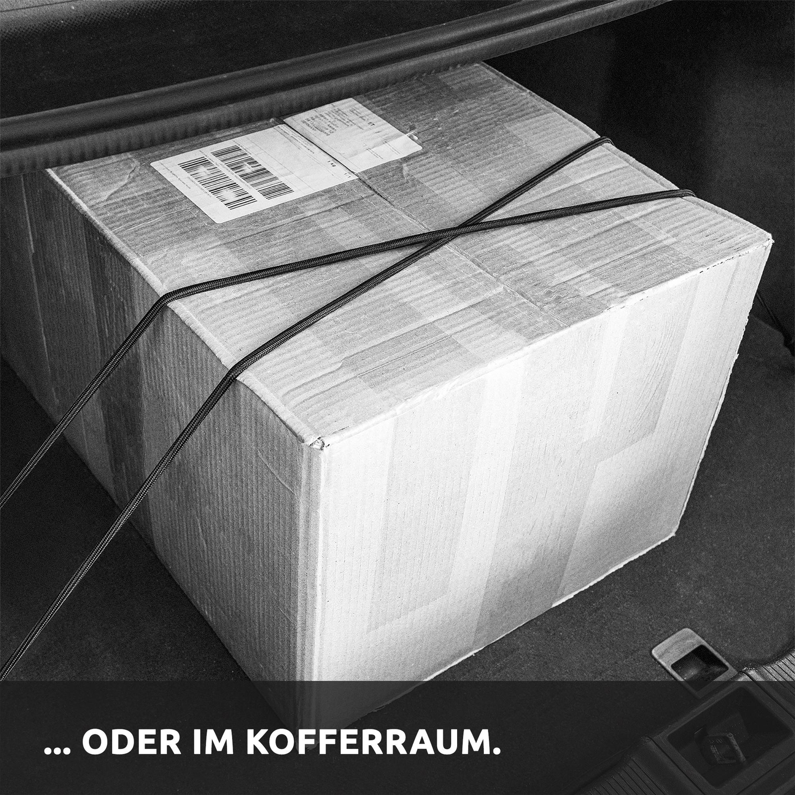 Bild 5 von 8