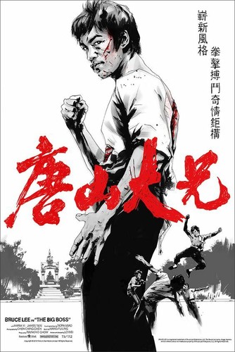 Plaque Murale Métal Bruce Lee 30x20 Cm – Déco Chambre