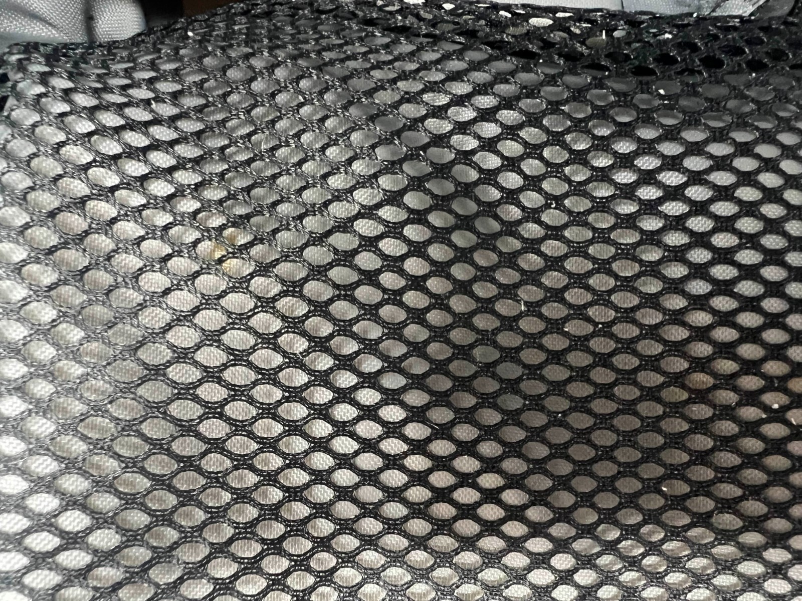 Picture 6 of 6