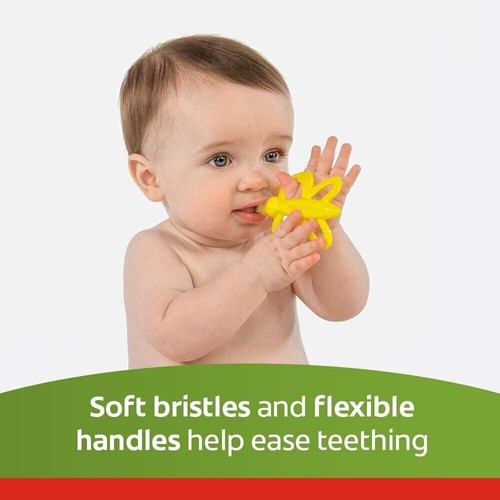 Colgate Baby Toothbrush and Teether, BPA Free (Pack of 2) - Picture 4 of 7