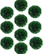 10pcs 12inch Paper Pom Poms Tissue Paper Flower Art Craft DIY Hanging Flower for