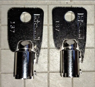set of 2 replacement keys cut to your 2001-2100 SENTRY SAFE Tubular Round key
