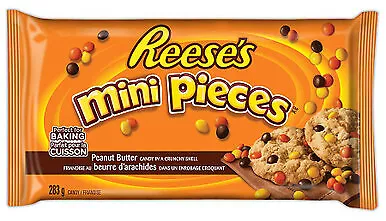 REESE'S PIECES Peanut Butter Candy, 9.9 oz bag