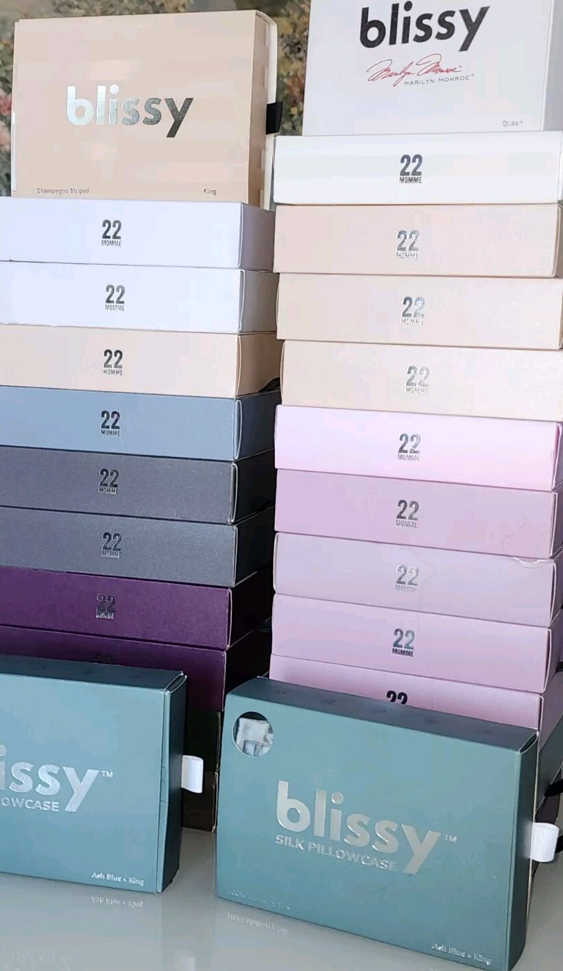 Blissy Silk 100% Mulberry Silk Pillowcase King Size Color Ash Blue NIB MRSP $95-image