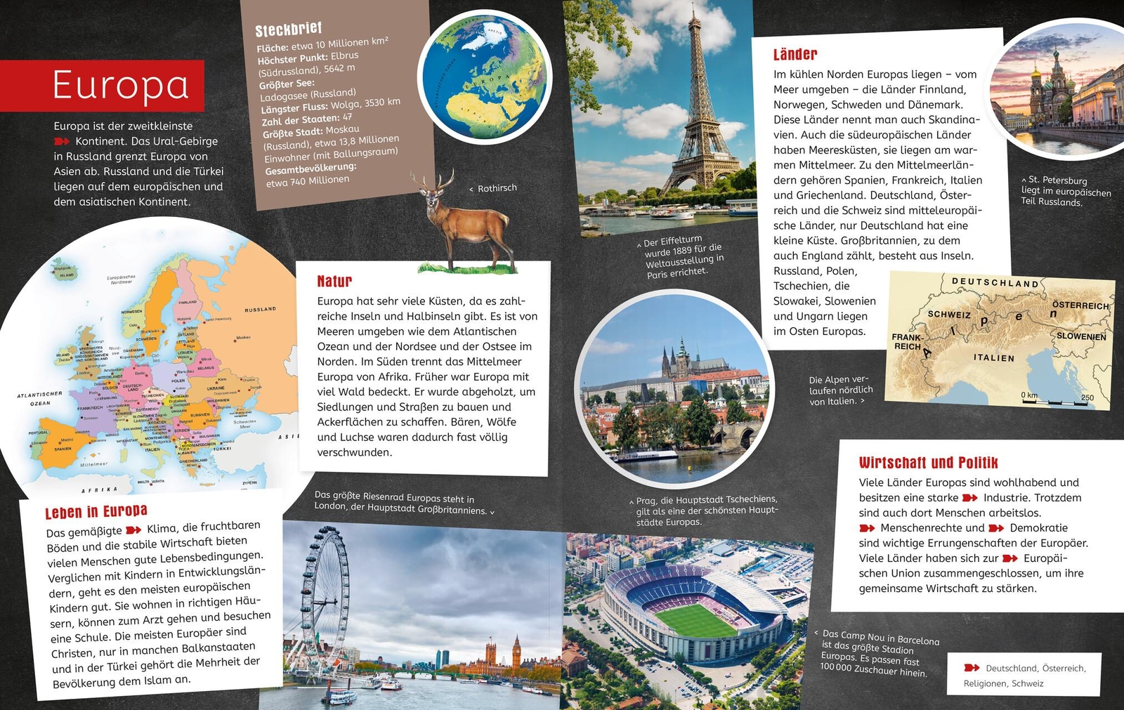 Thumbnail - Das Ravensburger Grundschullexikon Von A Bis Z Bietet Jede M ...