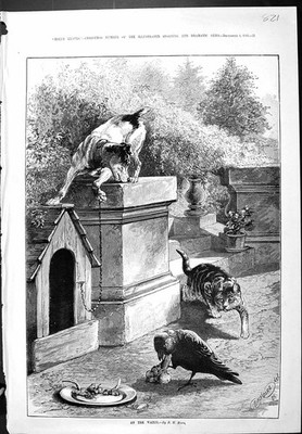 Alte sportliche dramatische Nachrichten 1886 auf der Wache Hund Katze Vogel Zwinger Moor viktorianisch