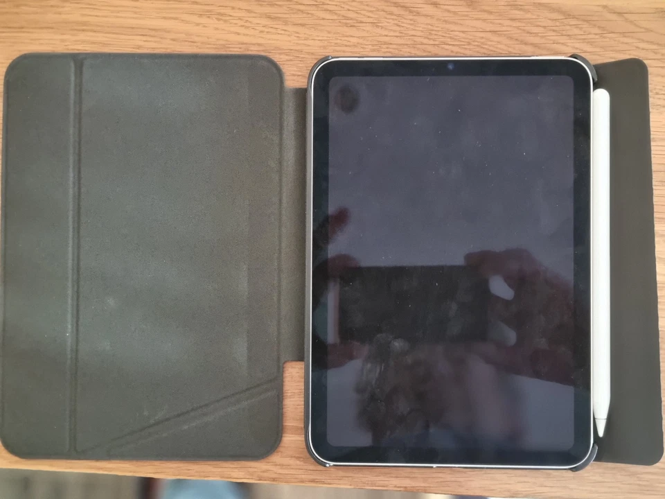 Apple iPad mini 6. Gen 64GB, Wi-Fi, 8,3 Zoll - Polastern, mit Pencil - Bild 3 von 4