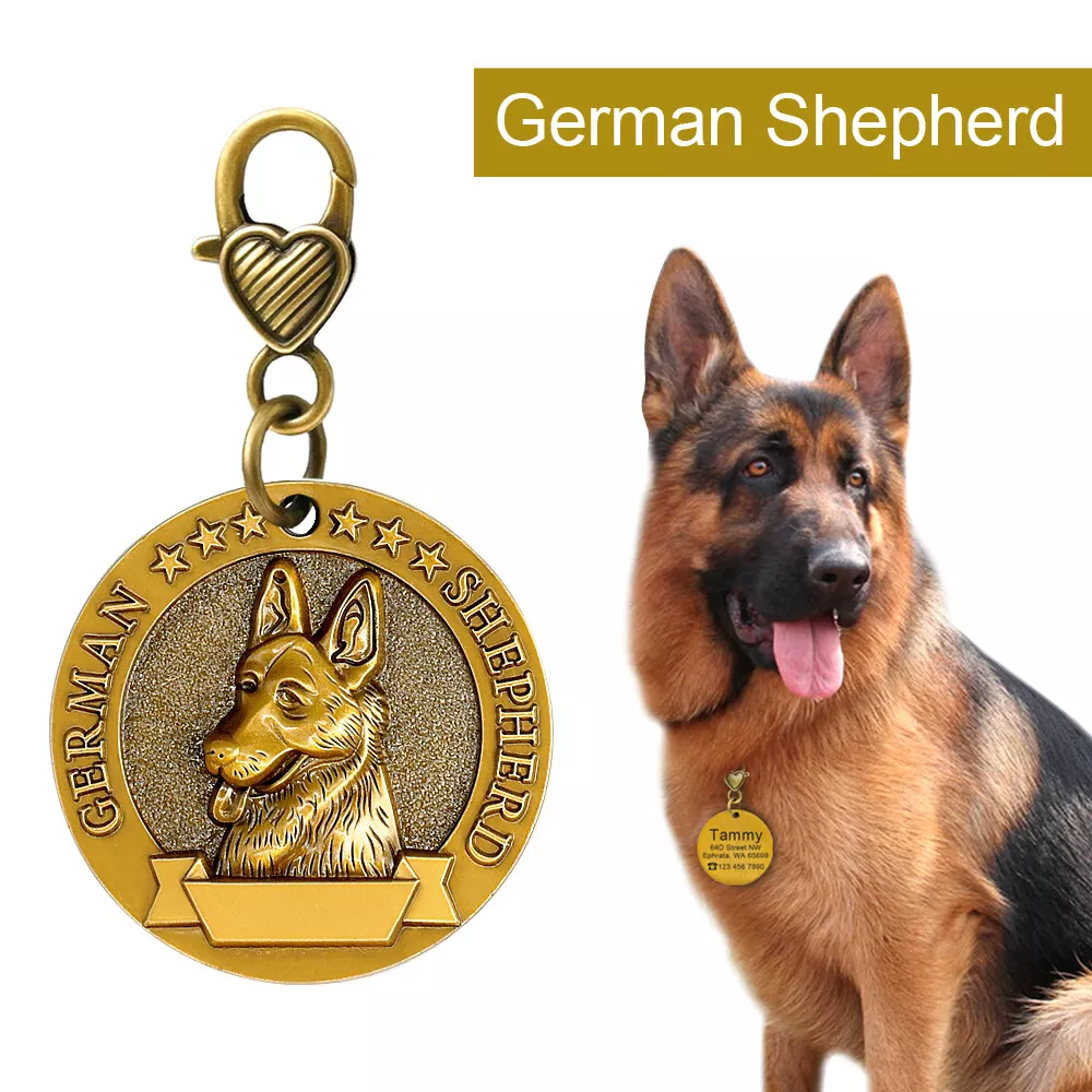 Brass dog top name tags