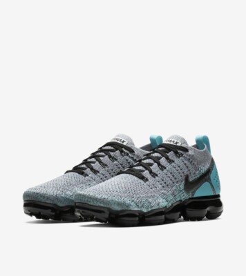 Vapormax 2.0 Dusty Cactus Flyknit