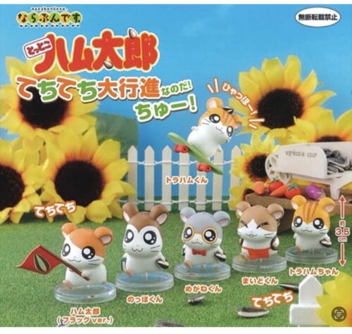 Hamtaro Big Match Figure Bandai Gashapon Maxwell Dexter Howdy Sandy All 6 types - Picture 1 of 2