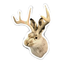Jackalope Sticker Decal