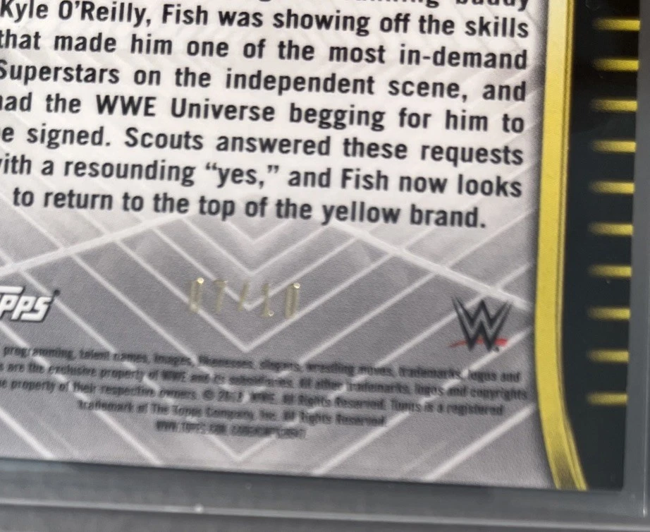 2018 Topps WWE NXT Bobby Fish /10 #R-7 Card - Image 3 of 3